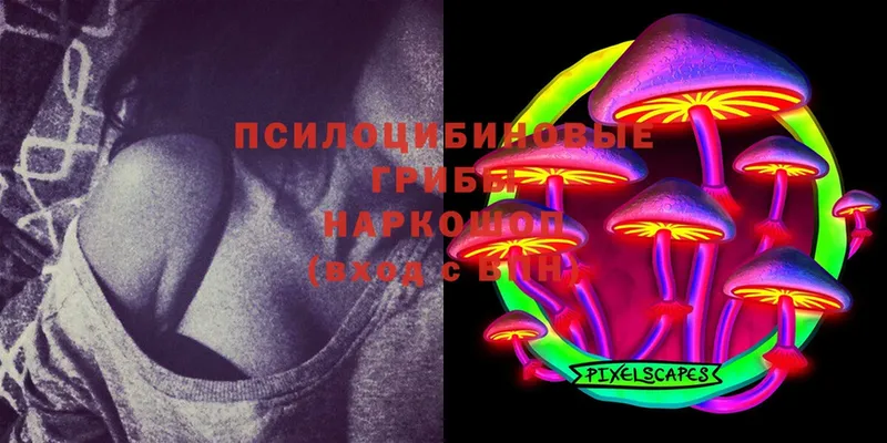 Псилоцибиновые грибы MAGIC MUSHROOMS  где купить   Красный Сулин 